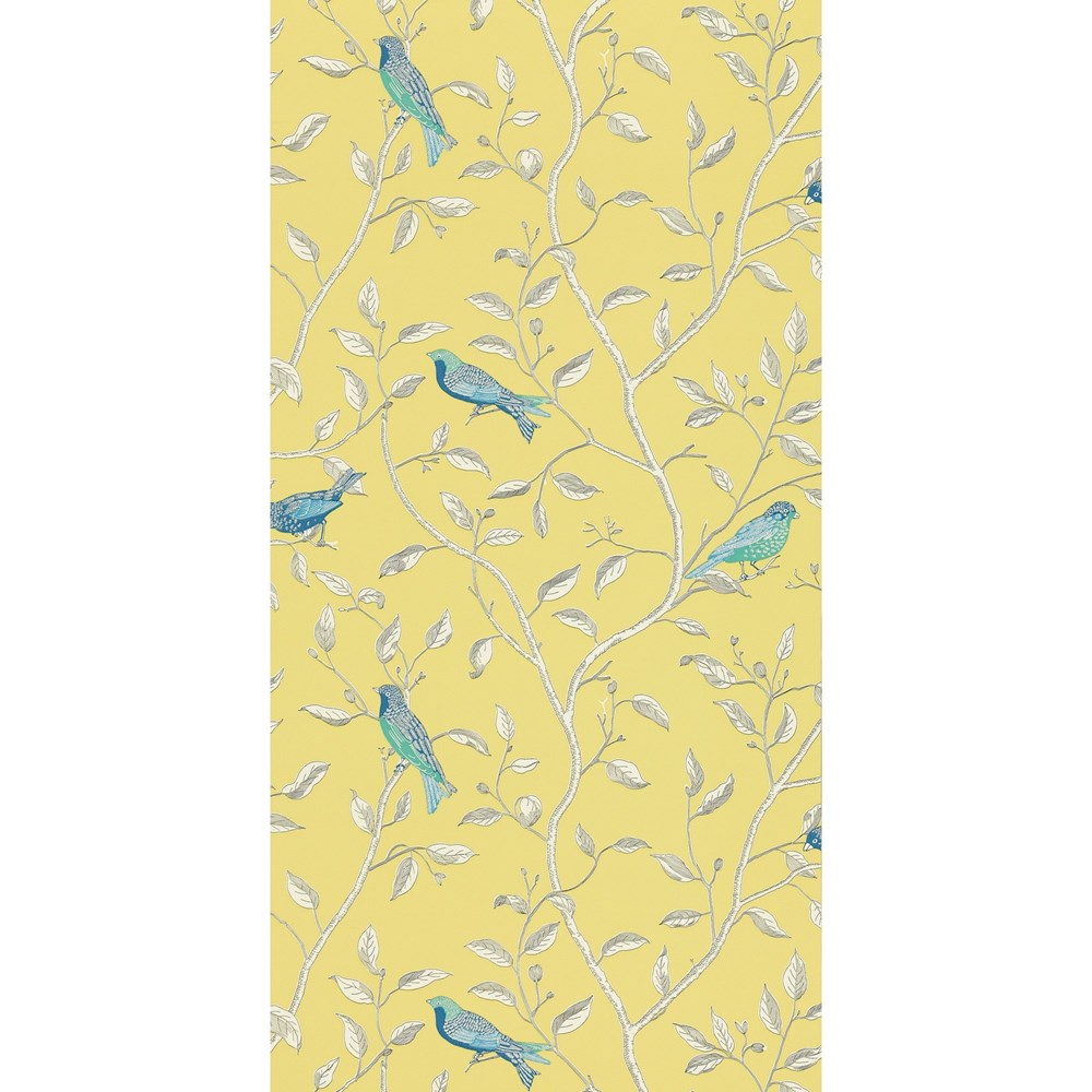 Finches Bird Branch Wallpaper 101 by Scion in Yellow